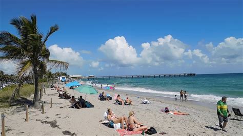 Dania Beach Pier and Beach WebCam